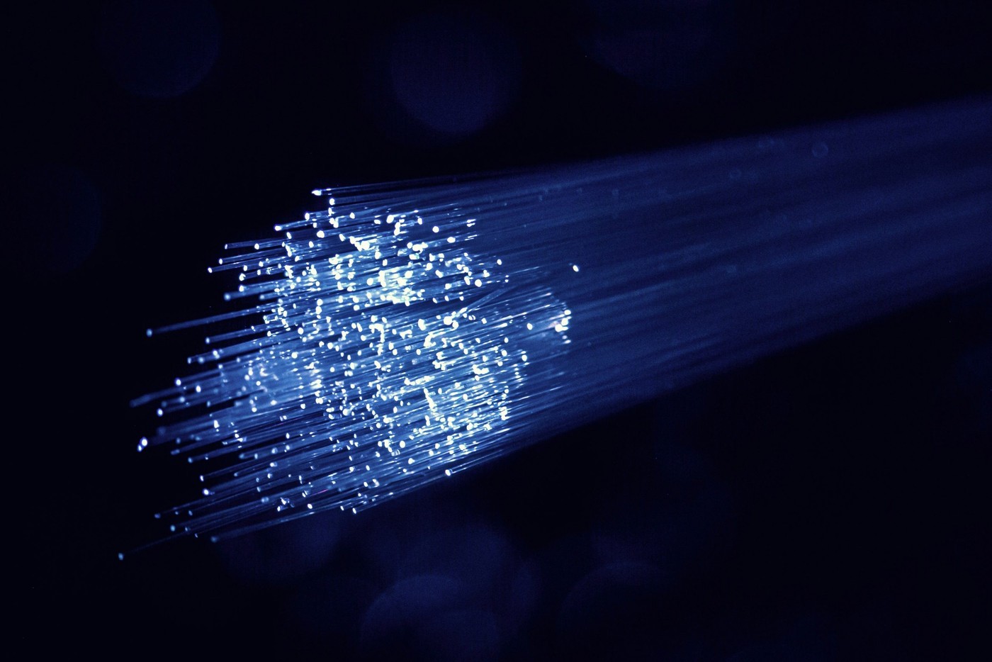 A bundle of blue fiber-optic strands against a dark background.